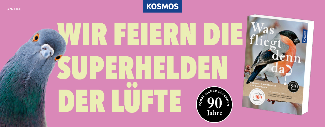 Medieninhalt - Feld 1